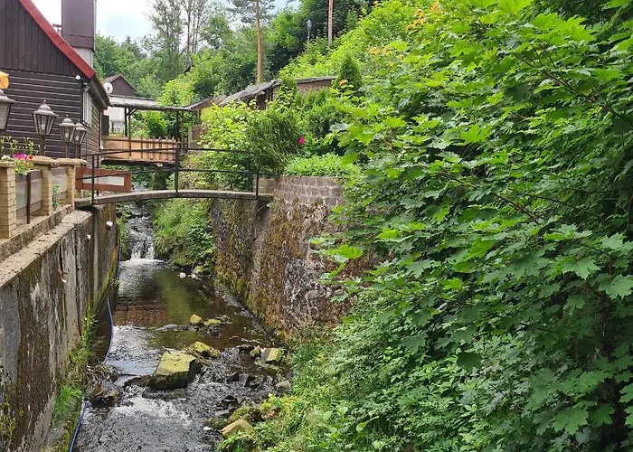 Harz Im Herzen אלטנאו