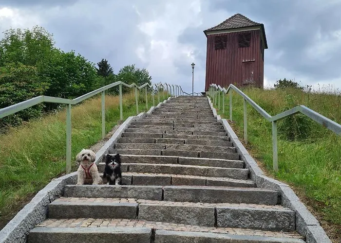 Harz Im Herzen דירה אלטנאו